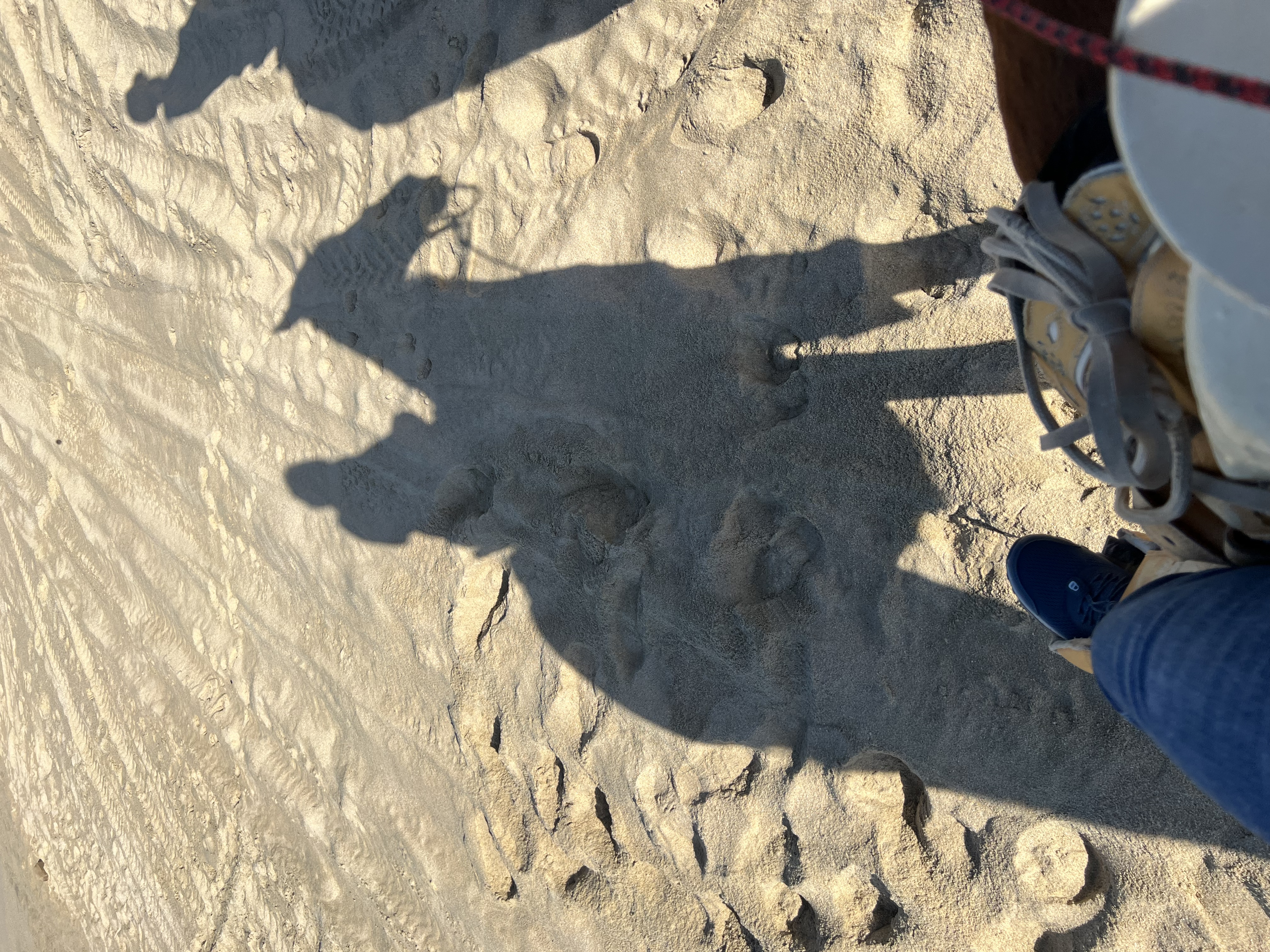 ./2024/13 - Cabo/IMG_4413.jpg